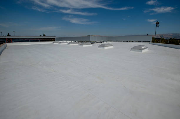 Best Storm Damage Roof Repair  in Alamae, NC