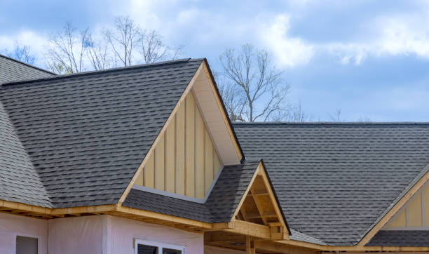 Best Chimney Flashing Repair  in Alamae, NC